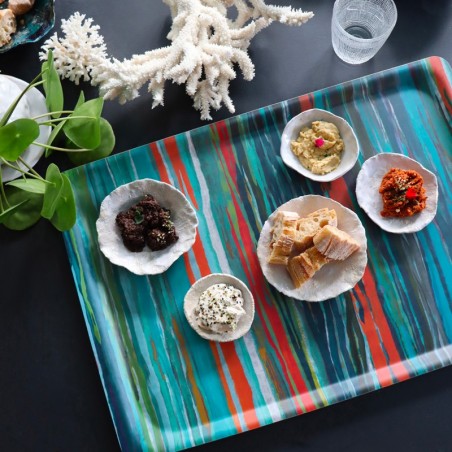 PLATEAUX - BAHIA canard