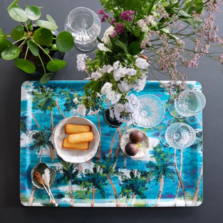 PLATEAUX - LA BARBADE one