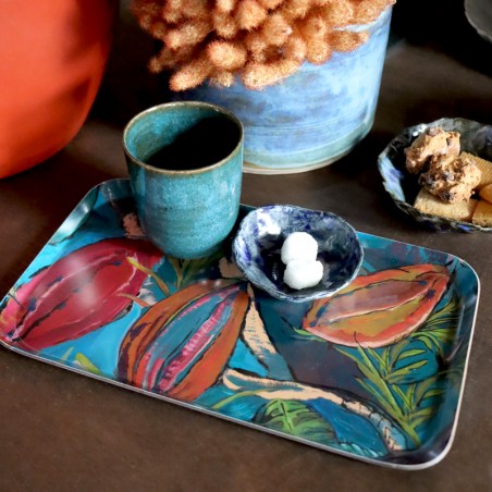 PLATEAUX - TRINIDAD canard