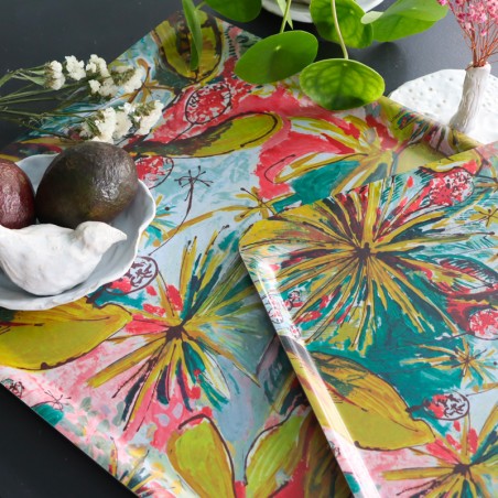 PLATEAUX - PANAMA anis